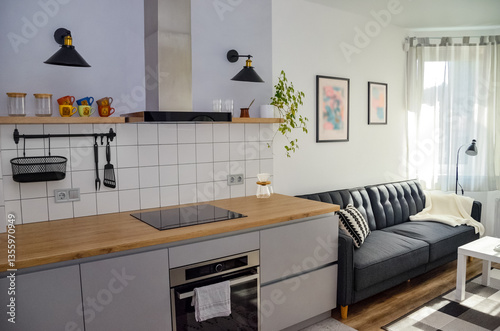 Scandinavian interior style modern studio small apartment in white and grey colors, furniture in living area and kitchen area