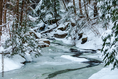 icy river, winter forest in the snow