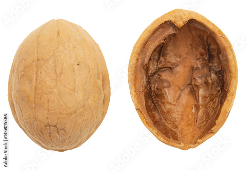 Walnut nutshell on white
