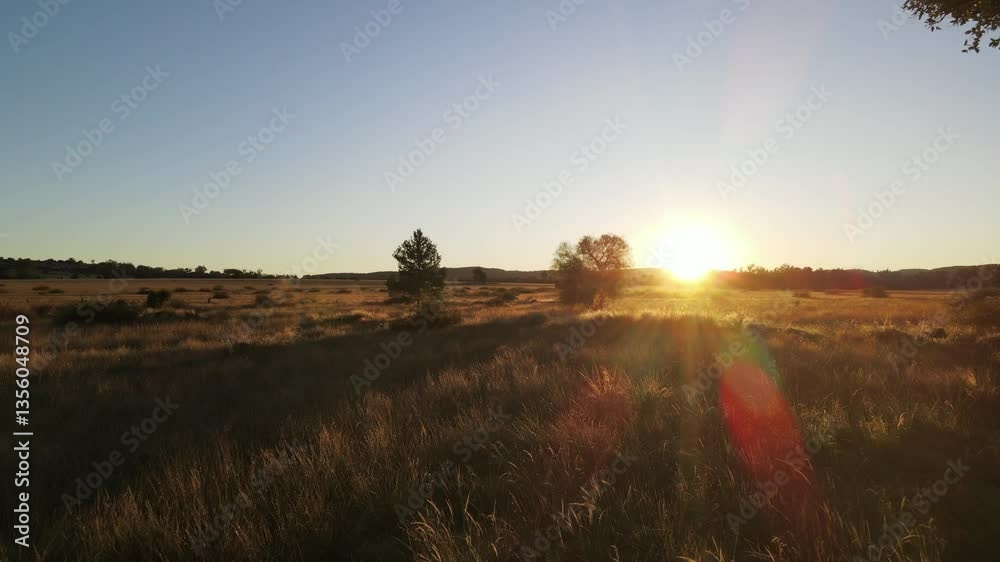 Drone Flying Over Dry Grass at Sunrise Capturing Golden Hour Drone Flying Over Dry Grass at Sunrise Capturing Golden Hour