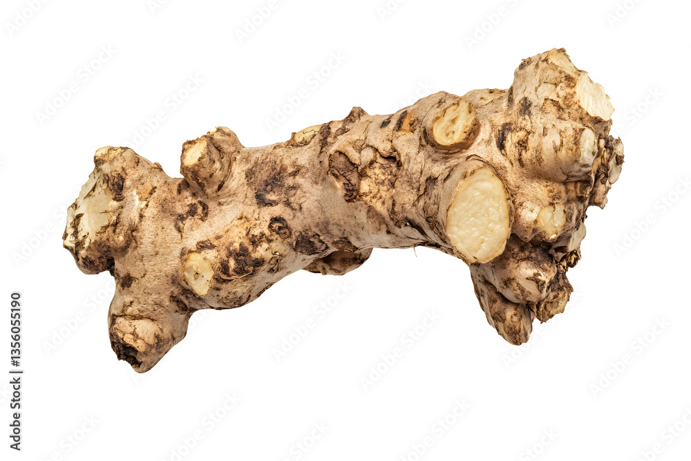Fresh taro root isolated on white background Fresh taro root isolated on white background