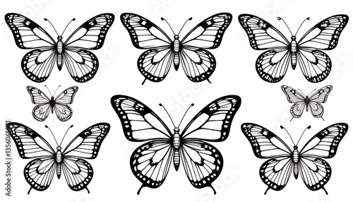Black and White Butterfly Line Art Illustration with Intricate Wing Patterns