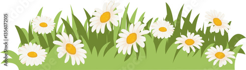 Daisy And Grass Border