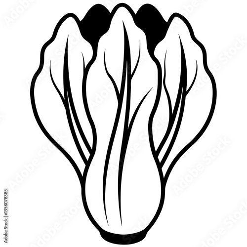 Bok Choy Vector Graphic Design File for Digital Use