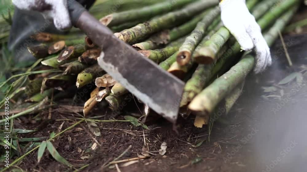 Arranging Bamboo in the Burning Workshop: Best Practices Arranging Bamboo in the Burning Workshop: Best Practices