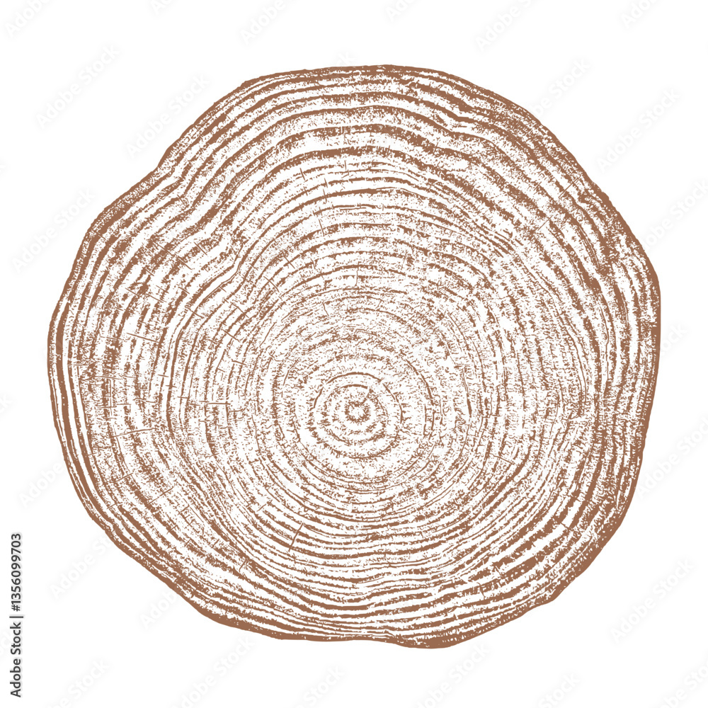 Tree wood texture. Wooden old trunk. Cut timber log. Abstract rings nature pattern. Brown circle stump. Wood cross section. 