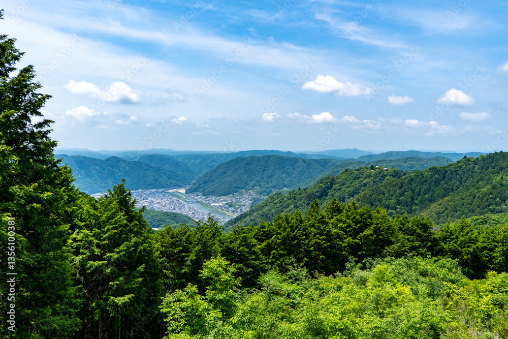 Obraz premium 備中松山城展望台から見る高梁市の風景