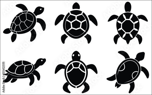 set of turtles on white background