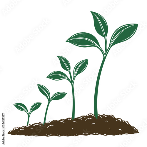 Green sprouts growing plants signs, A plant with four different stages of growth