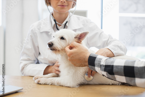 Female vet examining white dog while male owner observes consultation in professional setting