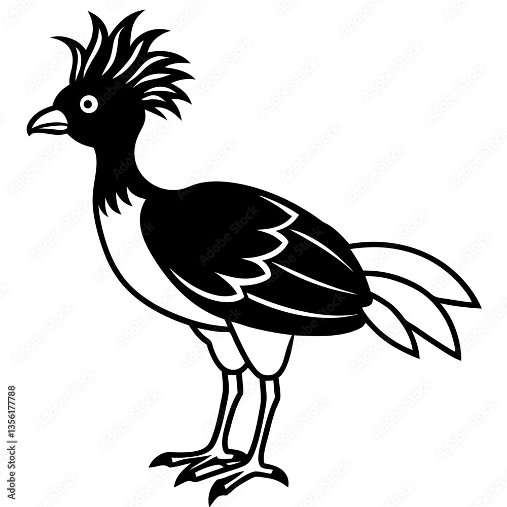 Fototapeta premium Hoatzin Bird silhouette vector black outline, white background