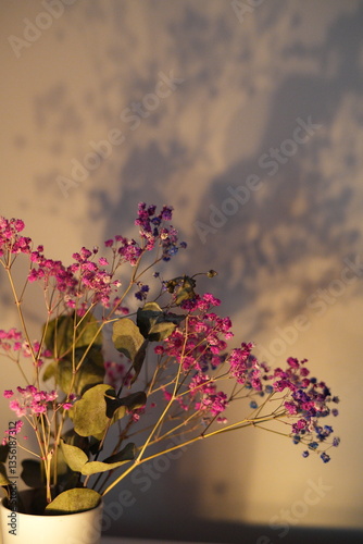Captivating floral arrangement showcasing vibrant blossoms in soft light, casting artistic shadows on wall for tranquil, aesthetic indoor decoration photography