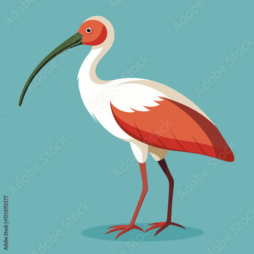 ibis