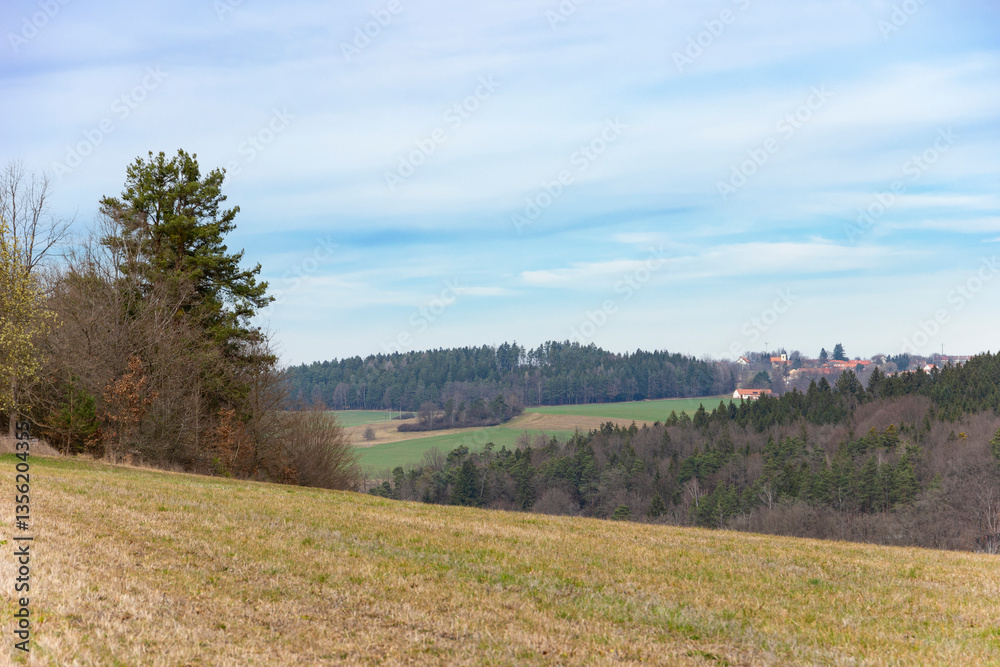 Early spring landscape