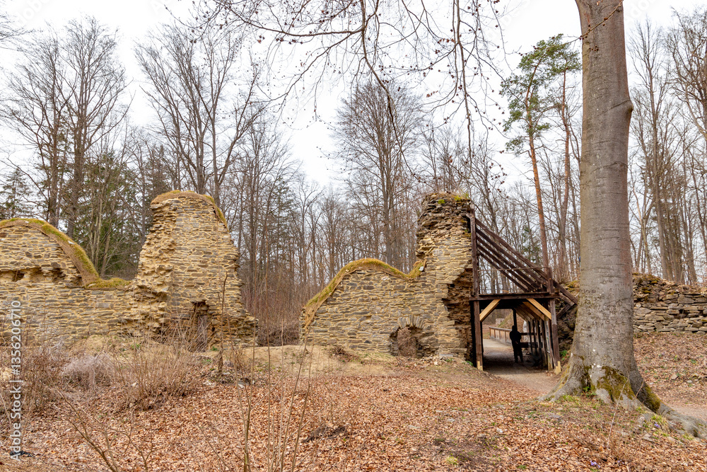 Ruins of the medieval castle