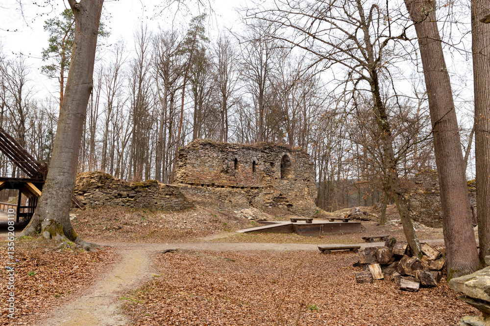 Ruins of the medieval castle