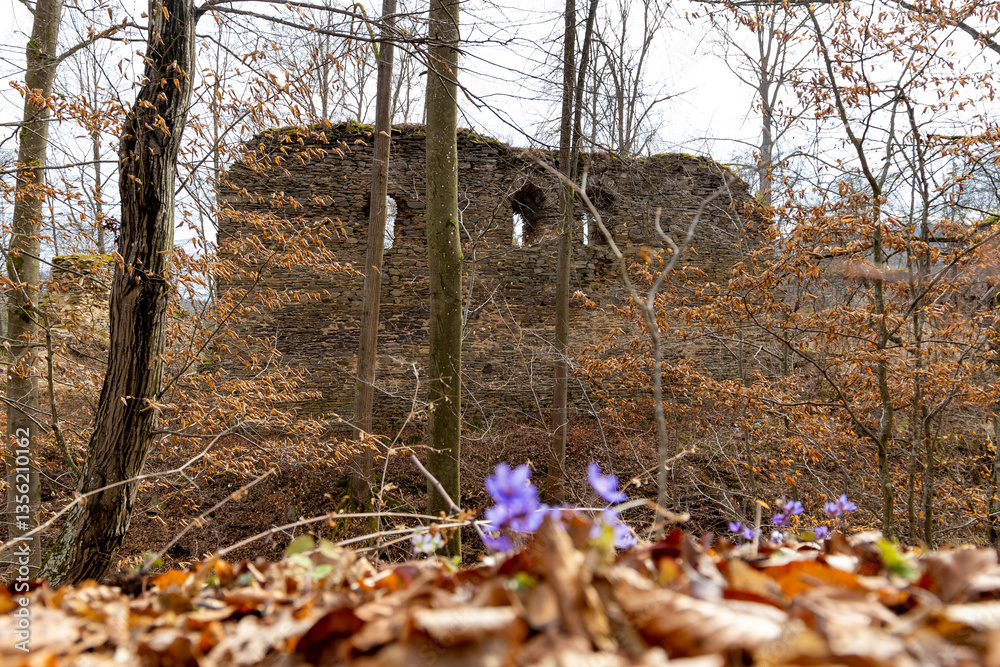 Ruins of the medieval castle