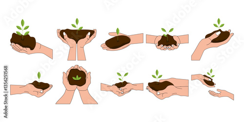 Reforestation Illustration