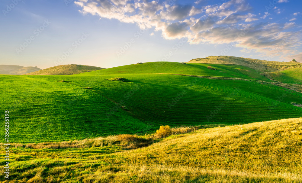 Fototapeta premium countryside green field during sunrise of sunset in warm light. beautiful spring landscape in the mountains. grassy field and hills. rural scenery