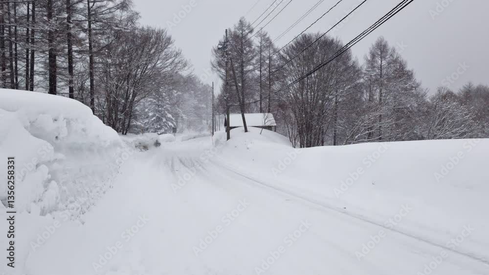 Rural road with trees during snowstorm. Handheld shot. Nagano, Japan Rural road with trees during snowstorm. Handheld shot. Nagano, Japan