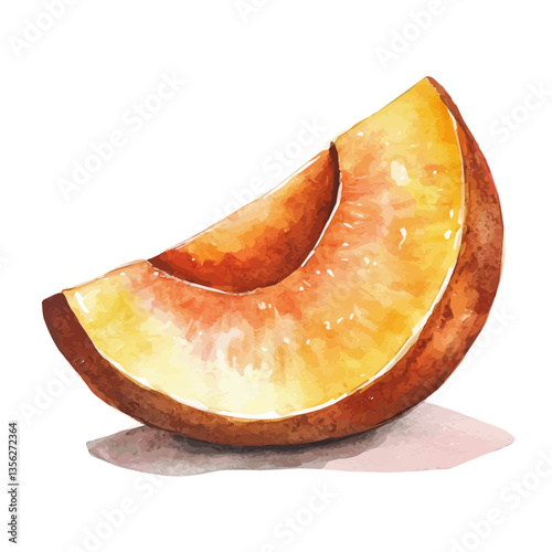 watercolor of Sapodilla Slice, isolated on a white background.