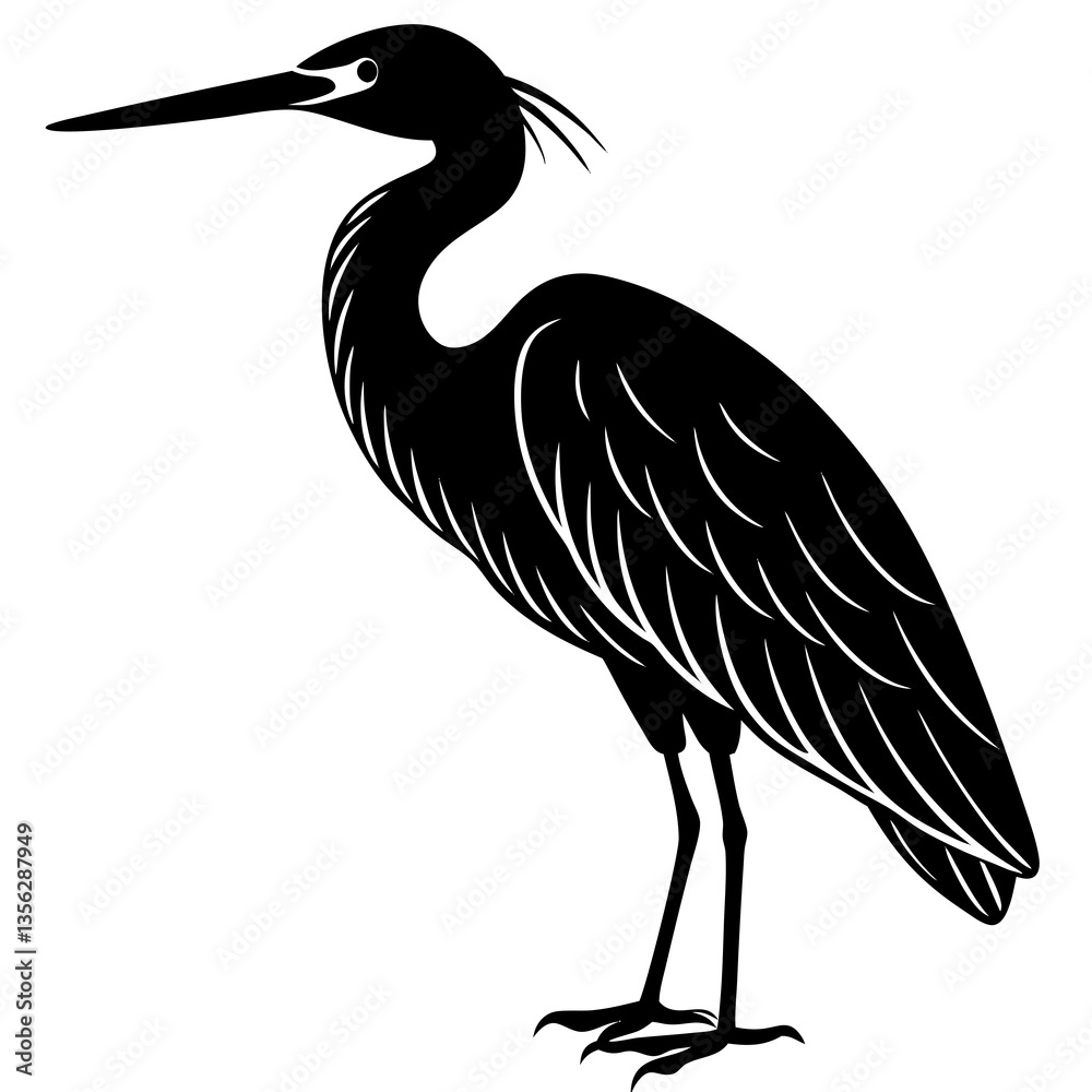 Fototapeta premium Snowy Egret Bird silhouette vector
