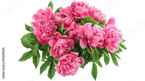 Wallpaper Mural peonies bush on garden isolated on white background, Torontodigital.ca