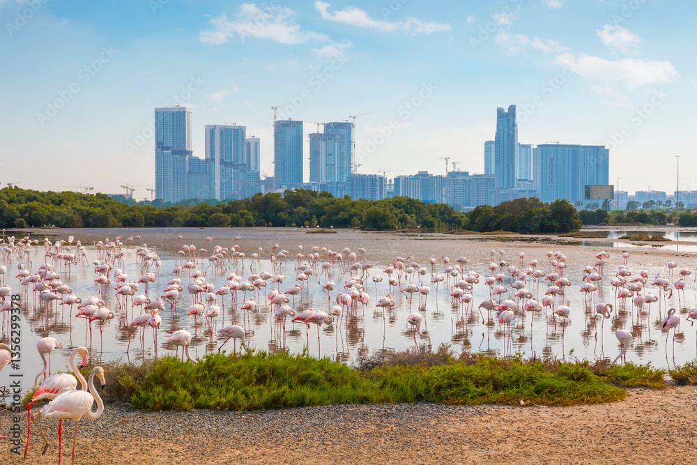 Ras Al Khor Flamingo Sanctuary in Dubai on a sunny day, featuring flocks of graceful flamingos wading in tranquil waters. A serene wildlife haven with a city skyline of Dubai Creek in the background