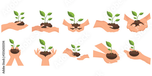 Reforestation Illustration