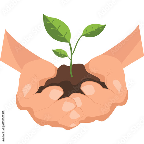 Reforestation Illustration