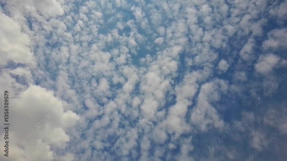 Time Lapse of White Cloud Movement on a Sunny day Time Lapse of White Cloud Movement on a Sunny day
