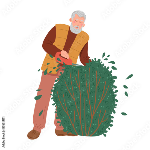 Elderly man is trimming a bush, topiary art. 