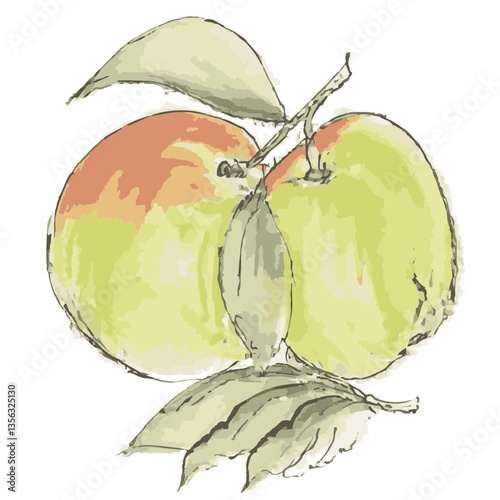 Loose hand-drawn apple illustration. Organic. Watercolor. Coloring. Color. Vector