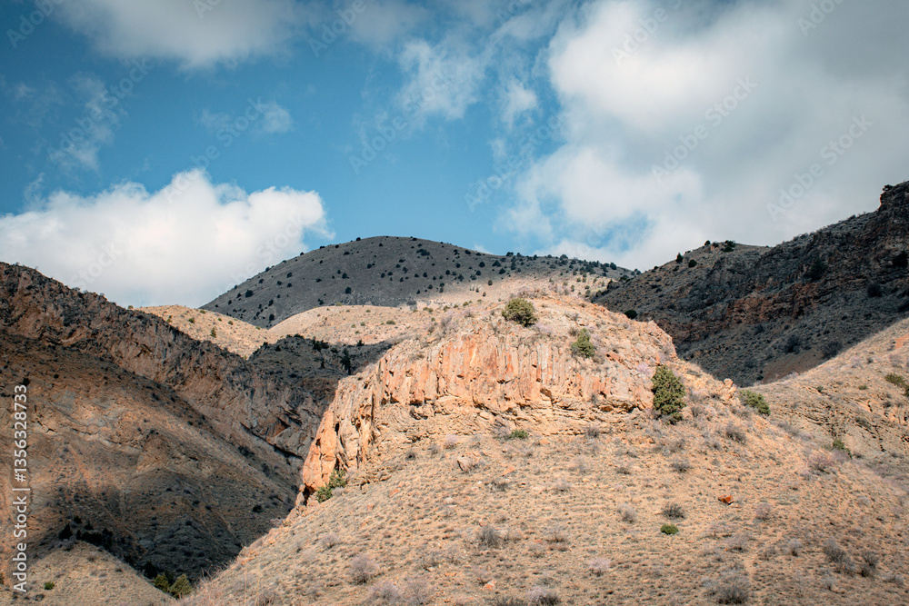 Fototapeta premium red rocks in the desert