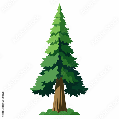 towering cypress tree with dense  conical foliage