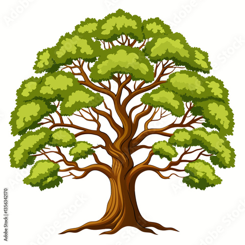 sprawling oak tree with wide  gnarled branches