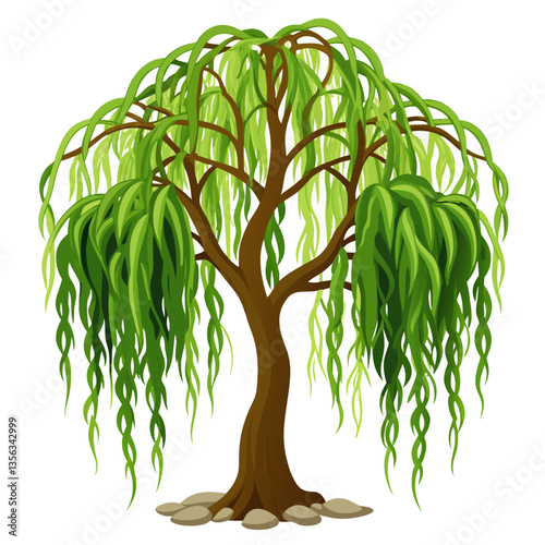 slender willow tree with cascading leafy tendrils