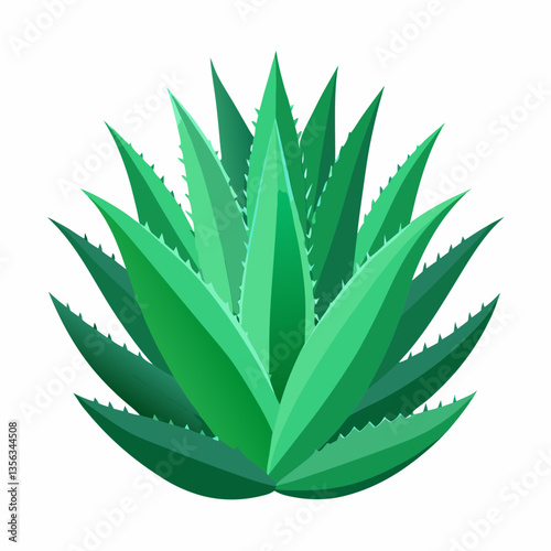 vibrant aloe vera plant with thick  spiky leaves