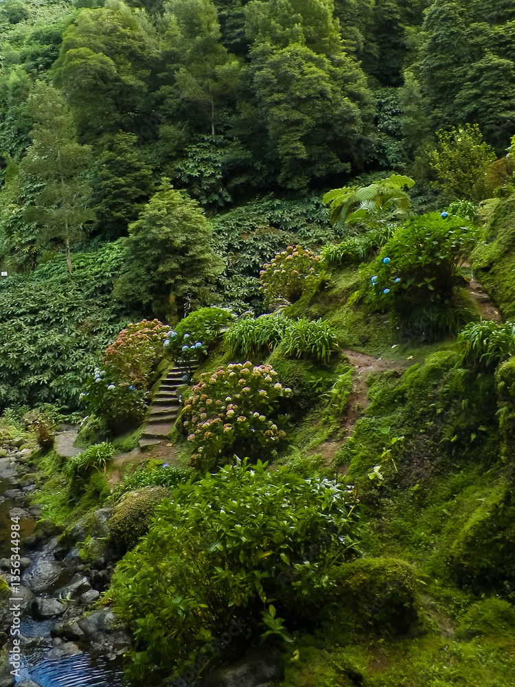 Fototapeta premium Little river in exotic tropical forest on Sao Miguel Island.