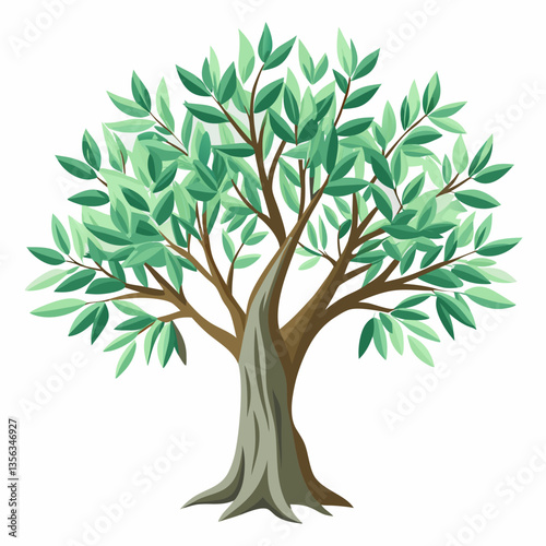 hardy olive tree with silvery green leaves