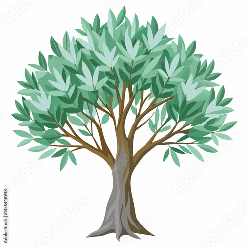 hardy olive tree with silvery green leaves