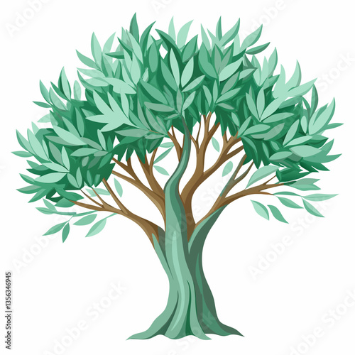 hardy olive tree with silvery green leaves