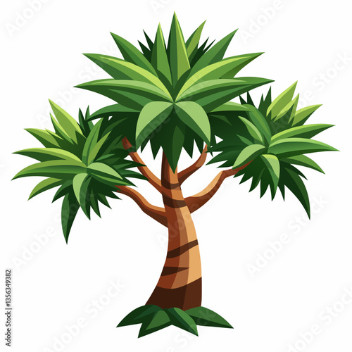 exotic dragon tree with spiky  fan shaped leaves