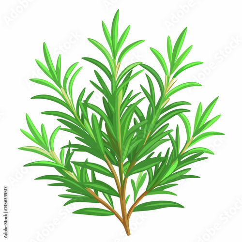 bushy rosemary plant