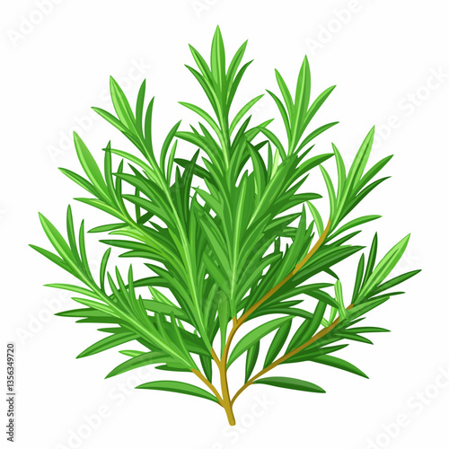 bushy rosemary plant