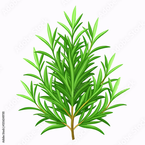 bushy rosemary plant