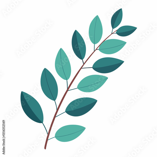 lush eucalyptus branch with rounded  aromatic leaves