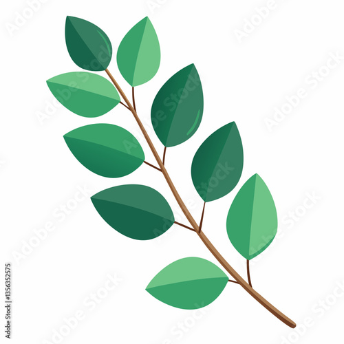 lush eucalyptus branch with rounded  aromatic leaves