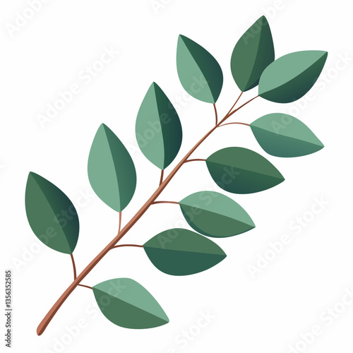 lush eucalyptus branch with rounded  aromatic leaves