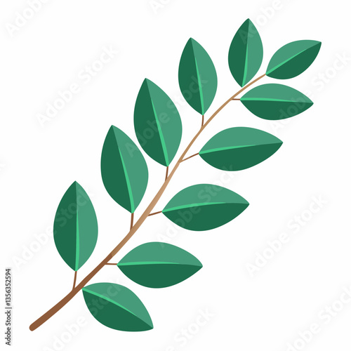 lush eucalyptus branch with rounded  aromatic leaves
